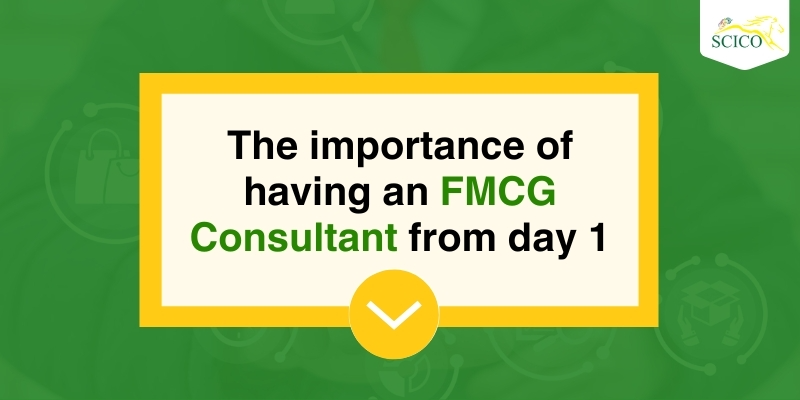 Importance of an FMCG Consultant